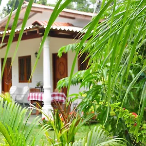 Bed & Breakfast Amenity, Sigiriya